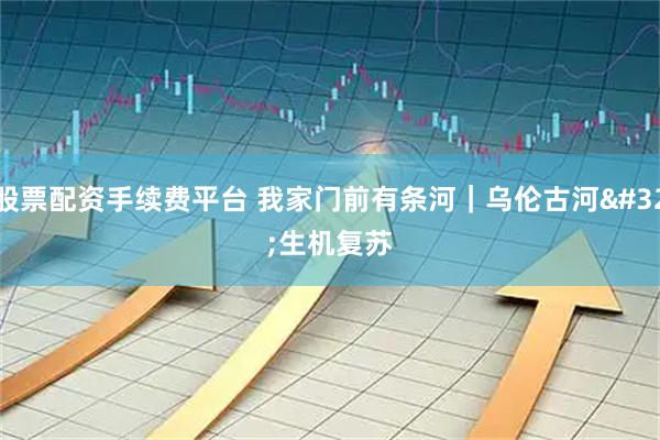 股票配资手续费平台 我家门前有条河｜乌伦古河 生机复苏