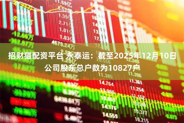 招财猫配资平台 永泰运：截至2025年12月10日公司股东总户数为10827户